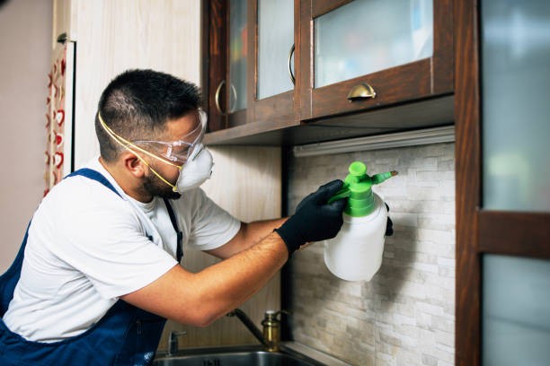 Best Emergency Pest Control  in Tobaccoville, NC