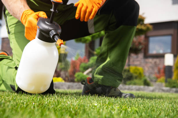 Best Mosquito Control Services  in Tobaccoville, NC