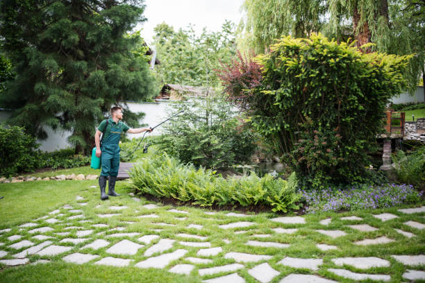 Best Local Pest Control Services  in Tobaccoville, NC