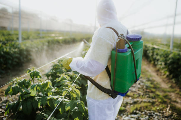 Best Wildlife Control Services  in Tobaccoville, NC